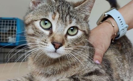 Hula und Hora warten auf ein schönes Zuhause