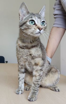 Hula und Hora warten auf ein schönes Zuhause