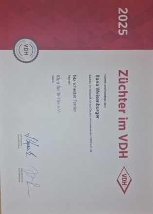 von der Blattgoldstadt