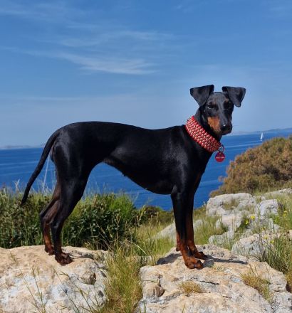 von der Blattgoldstadt