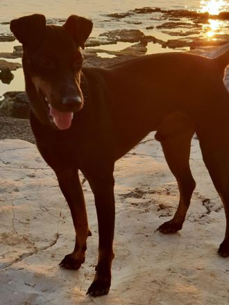 von der Blattgoldstadt