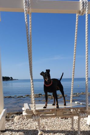 von der Blattgoldstadt