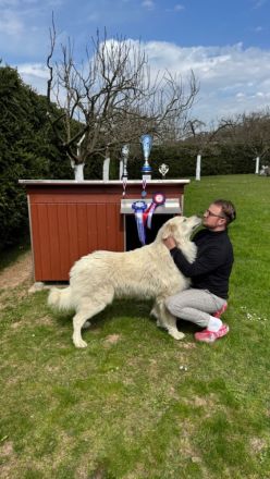 Bella - slovensky cuvac