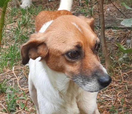 Mando – ein Kämpfer mit Herz aus Gold