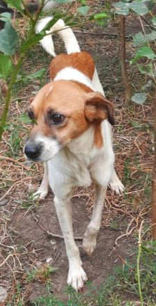 Mando – ein Kämpfer mit Herz aus Gold