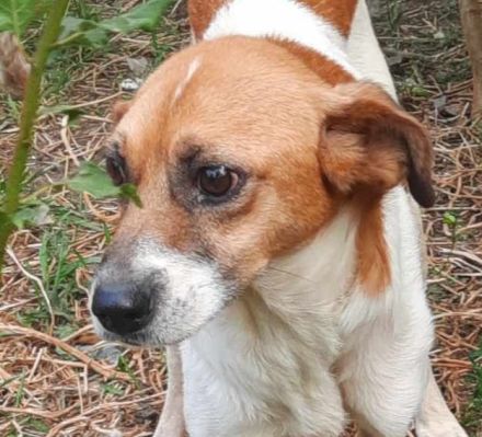 Mando – ein Kämpfer mit Herz aus Gold