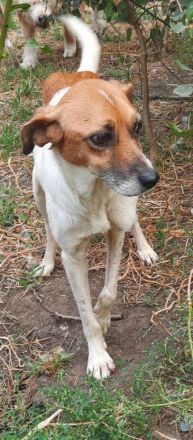 Mando – ein Kämpfer mit Herz aus Gold