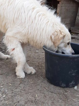 Marco sucht seine Menschen!