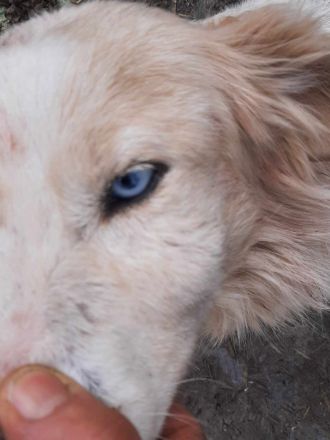 Marco sucht seine Menschen!