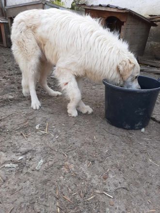 Marco sucht seine Menschen!