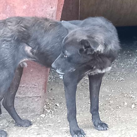 Marius – ein verlorenes Herz auf der Suche nach einer zweiten Chance!