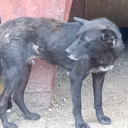 Marius – ein verlorenes Herz auf der Suche nach einer zweiten Chance!