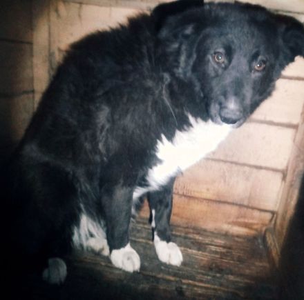 Marlen sucht ihren Herzensmenschen!