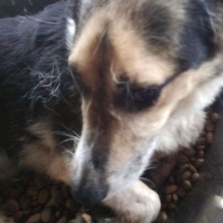 Ein Herz sucht ein Zuhause – Melcom wartet auf dich!