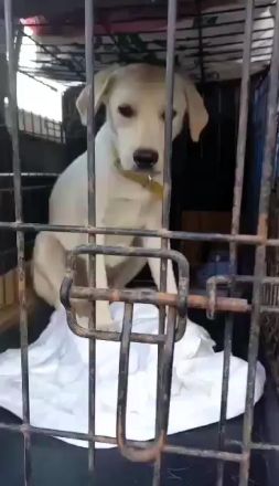 Wer sieht die schöne Monja?