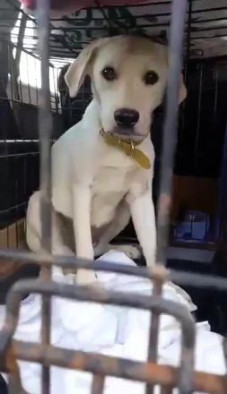 Wer sieht die schöne Monja?