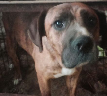 Wessen Herz erwärmt Nochy?