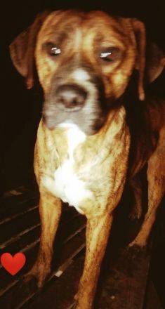 Wessen Herz erwärmt Nochy?