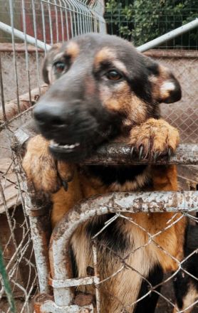 Page – Ihre Chance auf ein glückliches Leben!