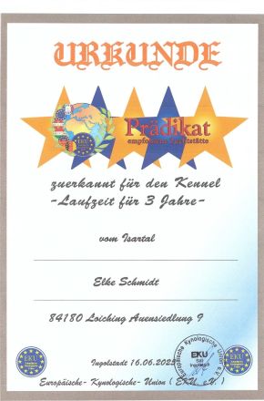 Weisse Schweizer Schäferhund Welpen