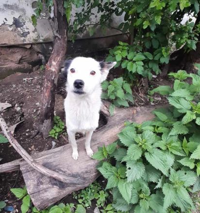 Palina – Eine Mutter mit einem großen Herzen sucht ihr Glück!