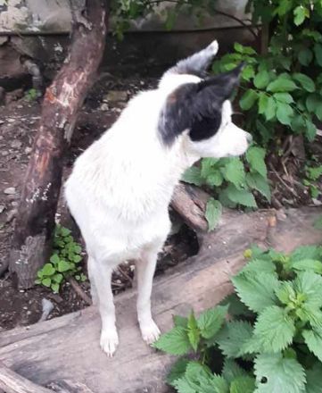 Palina – Eine Mutter mit einem großen Herzen sucht ihr Glück!