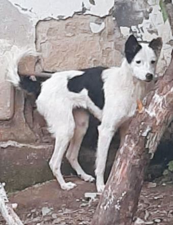 Palina – Eine Mutter mit einem großen Herzen sucht ihr Glück!