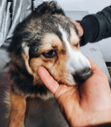 Wen trifft Paulis Blick mitten ins Herz?