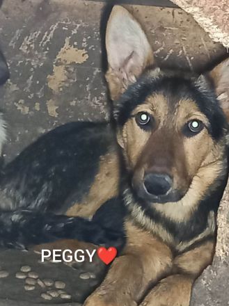 Peggy – Ihre zweite Chance im Leben wartet!