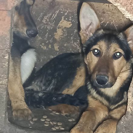 Peggy – Ihre zweite Chance im Leben wartet!