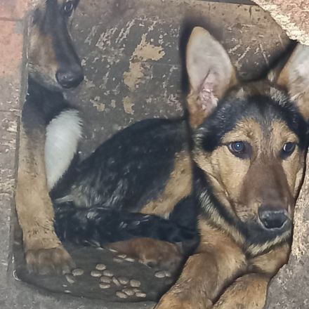 Peggy – Ihre zweite Chance im Leben wartet!