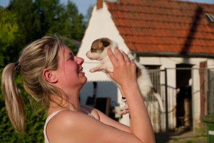 Kleine wunderschöne Mischlingswelpen