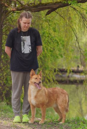 Wunderschöne Vesta sucht ihren platz