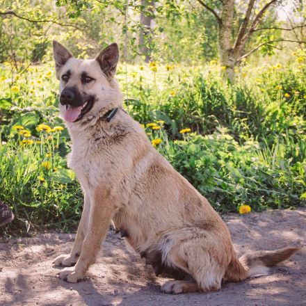 Wunderschöne Linda sucht