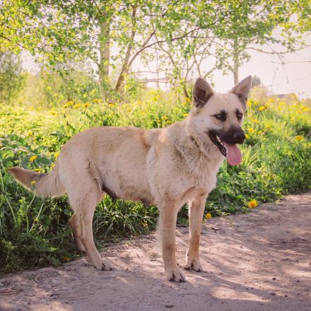 Wunderschöne Linda sucht