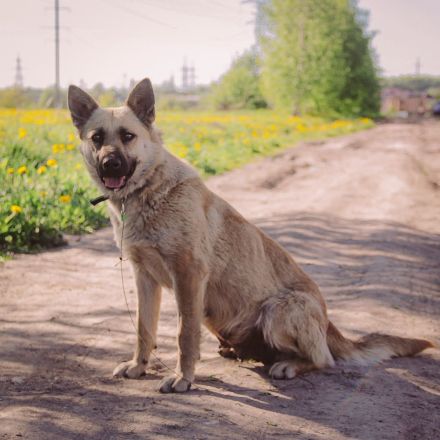 Wunderschöne Linda sucht