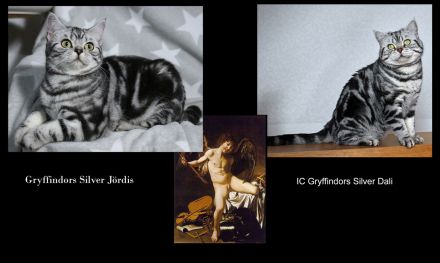 Gryffindors hat noch einen zauberhaften "Hogwarts-Absolventen"