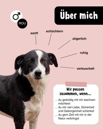 KASPER wünscht sich eine schöne Zukunft