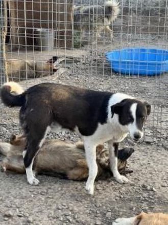 KASPER wünscht sich eine schöne Zukunft