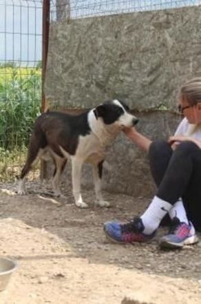 KASPER wünscht sich eine schöne Zukunft