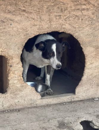 KASPER wünscht sich eine schöne Zukunft