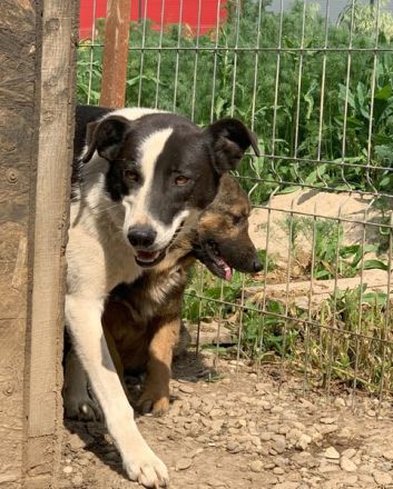 KASPER wünscht sich eine schöne Zukunft