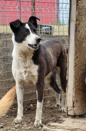 KASPER wünscht sich eine schöne Zukunft