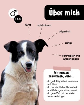 KASPER wünscht sich eine schöne Zukunft