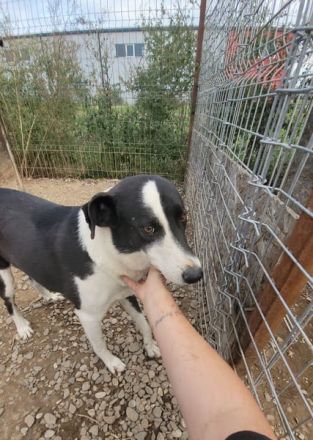 KASPER wünscht sich eine schöne Zukunft