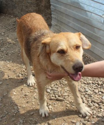 SILLY seht sich nach einem Zuhause