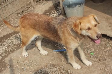 SILLY seht sich nach einem Zuhause