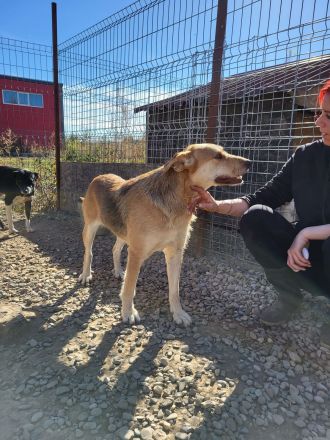 SILLY seht sich nach einem Zuhause