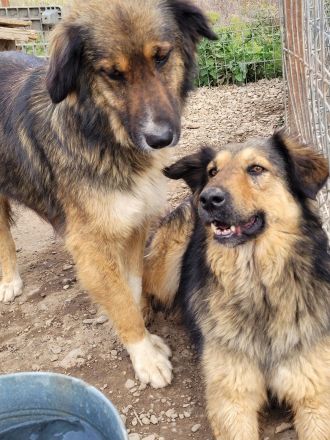 MAYLA - selbstbewusst und aktiv