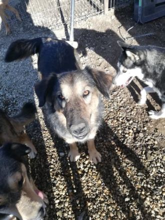 MAYLA - selbstbewusst und aktiv